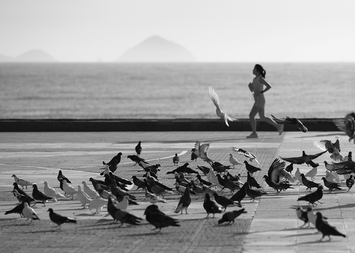 Nhiếp ảnh gia Nguyễn An Di - Street Life Freestyle 